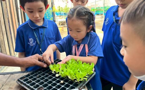 637281204_1534932148635972_980729680360275354_n